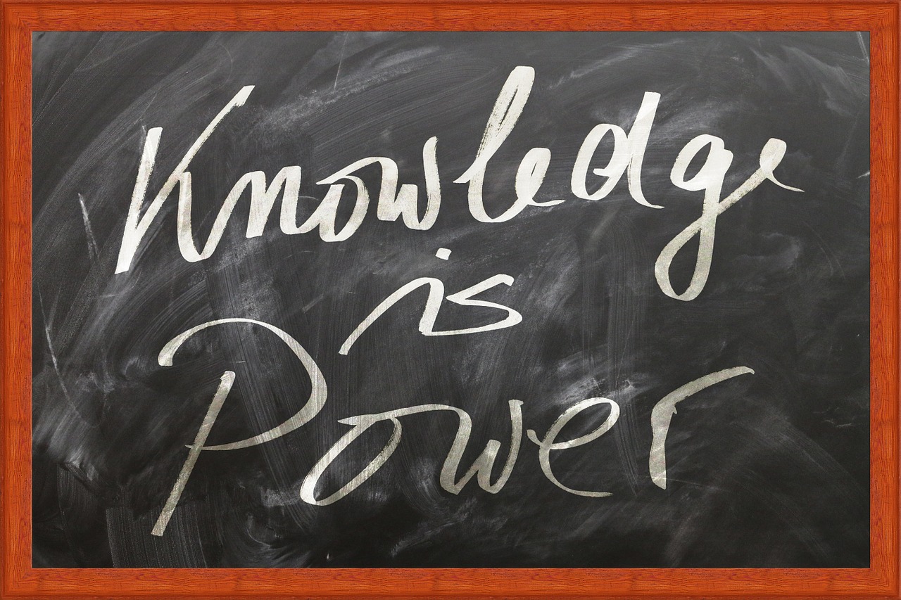 What need to be Include in your non-exec CV? non executive director